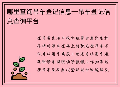 哪里查询吊车登记信息—吊车登记信息查询平台