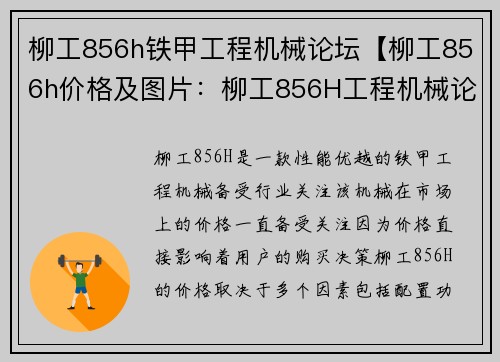 柳工856h铁甲工程机械论坛【柳工856h价格及图片：柳工856H工程机械论坛：分享行业趋势与技术创新】